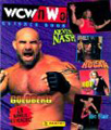 WcW nWo - Panini